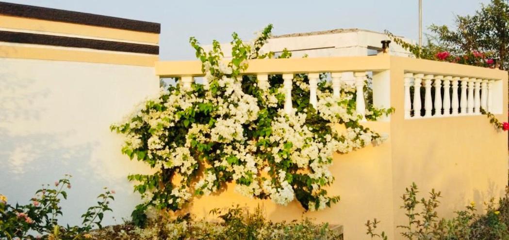 ROYAL MEADOWS - IGATPURI Bungalow B Exterior foto